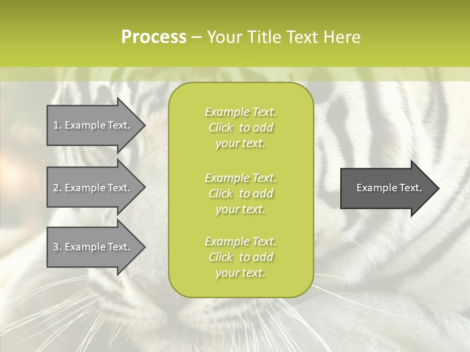 White Cat Exotic PowerPoint Template