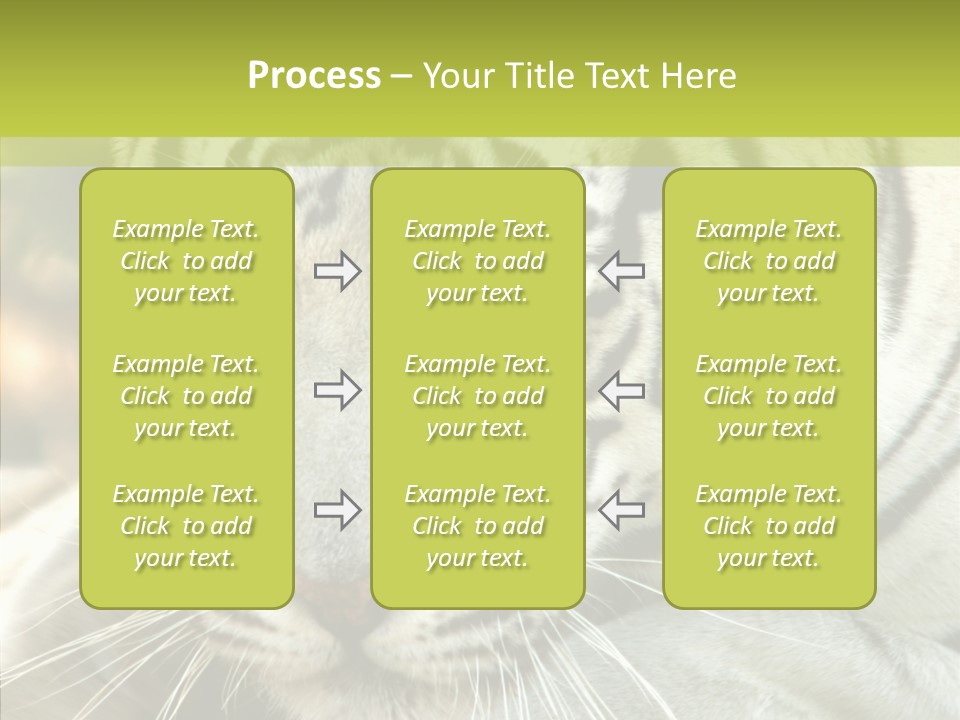 White Cat Exotic PowerPoint Template