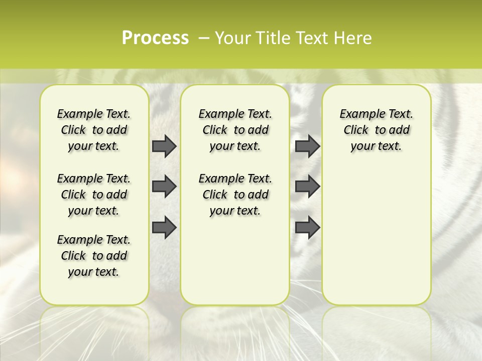 White Cat Exotic PowerPoint Template