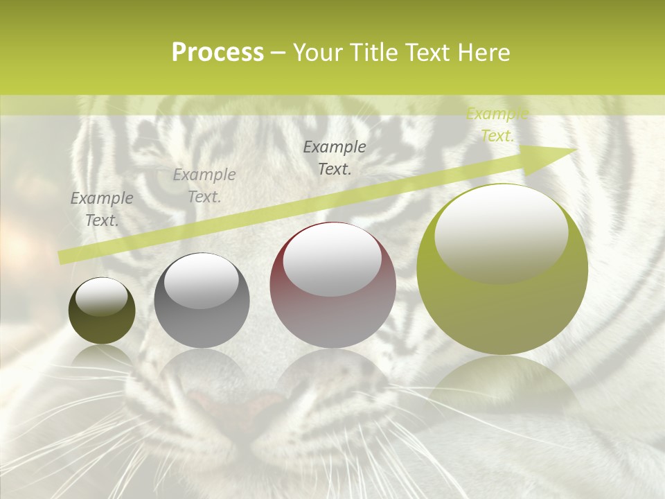 White Cat Exotic PowerPoint Template