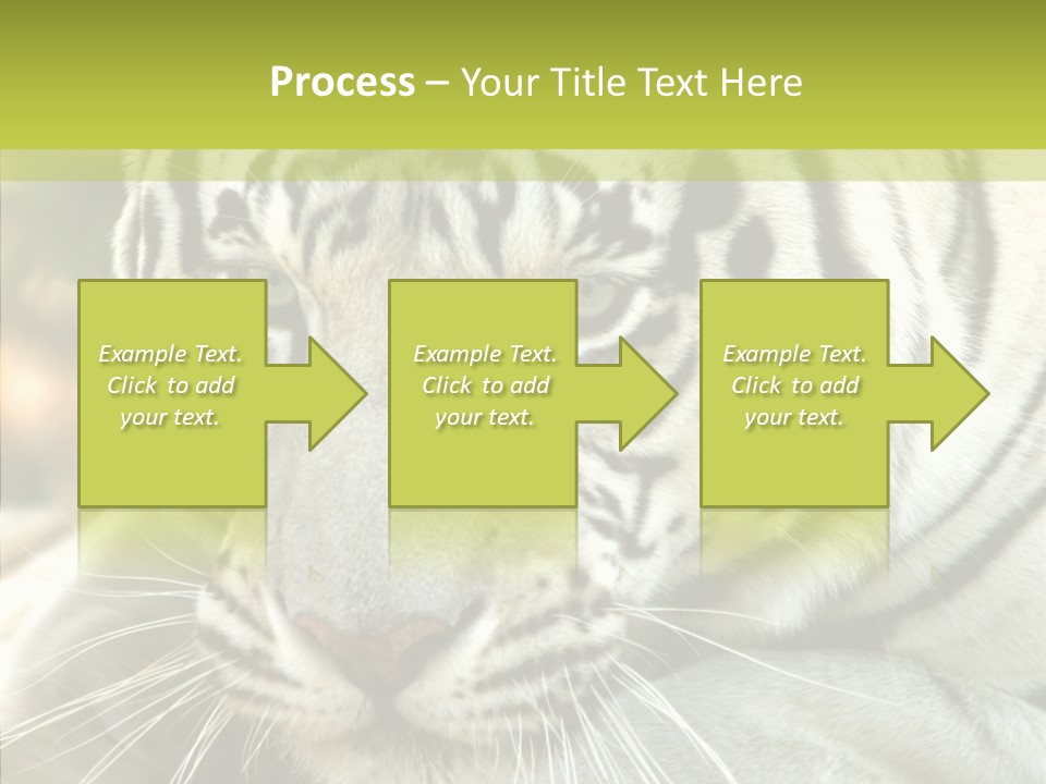 White Cat Exotic PowerPoint Template