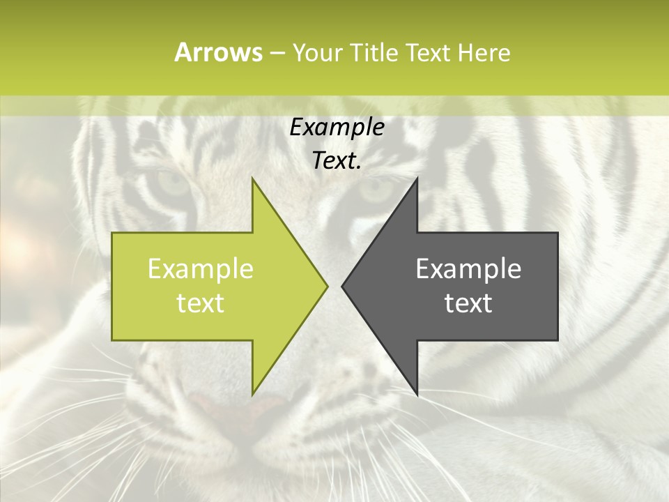 White Cat Exotic PowerPoint Template