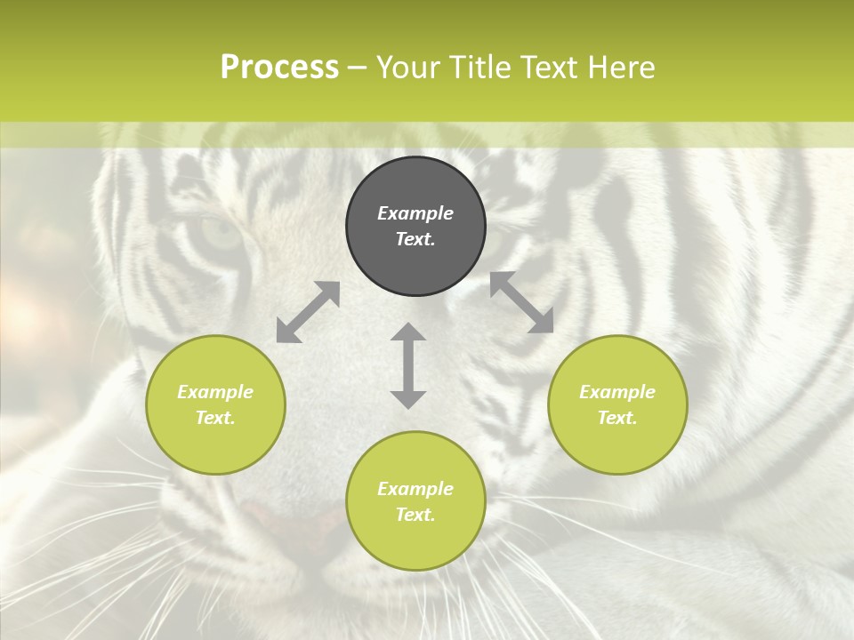 White Cat Exotic PowerPoint Template