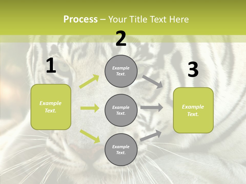 White Cat Exotic PowerPoint Template