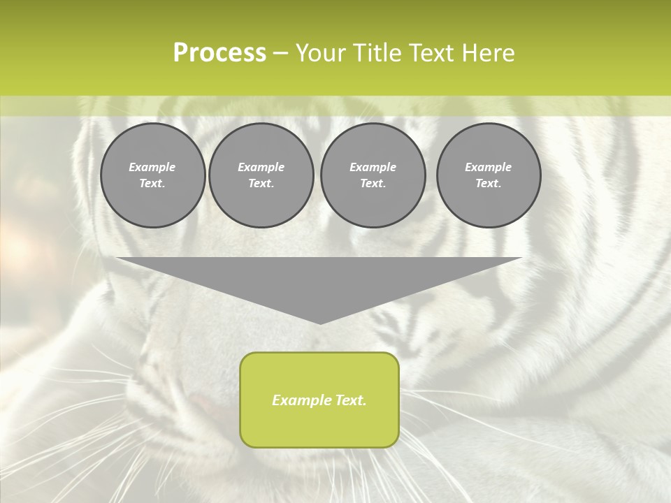 White Cat Exotic PowerPoint Template