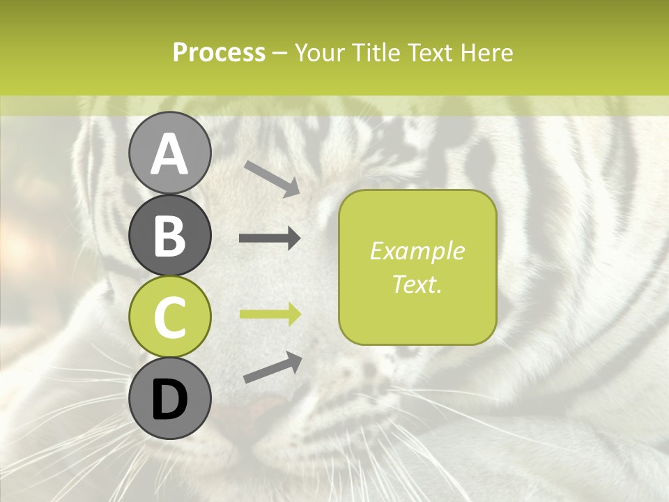 White Cat Exotic PowerPoint Template