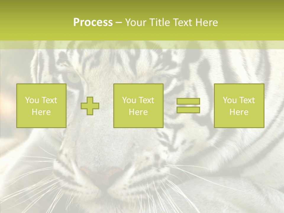 White Cat Exotic PowerPoint Template