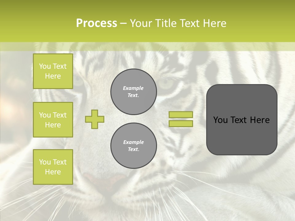 White Cat Exotic PowerPoint Template