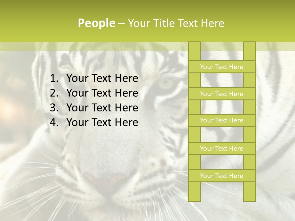 White Cat Exotic PowerPoint Template
