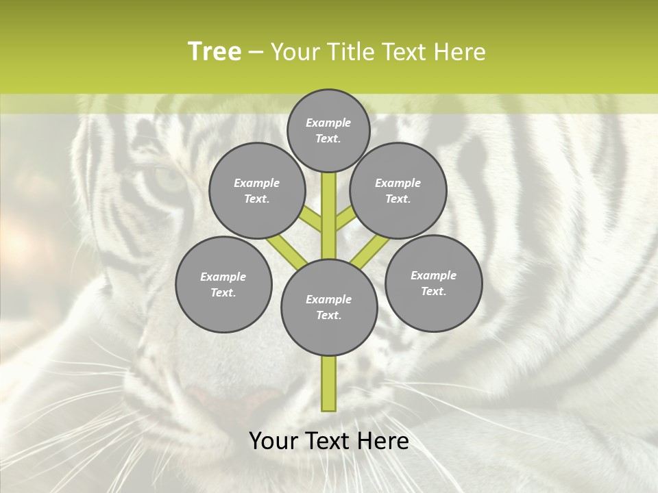 White Cat Exotic PowerPoint Template
