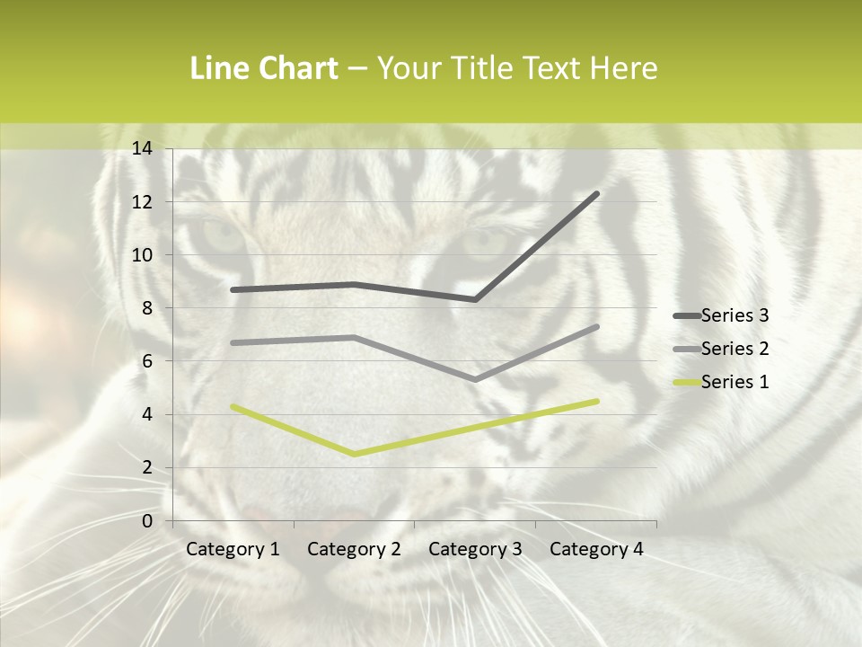 White Cat Exotic PowerPoint Template