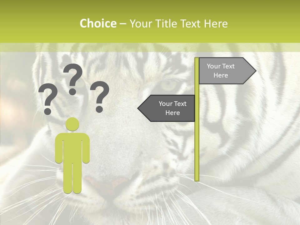 White Cat Exotic PowerPoint Template