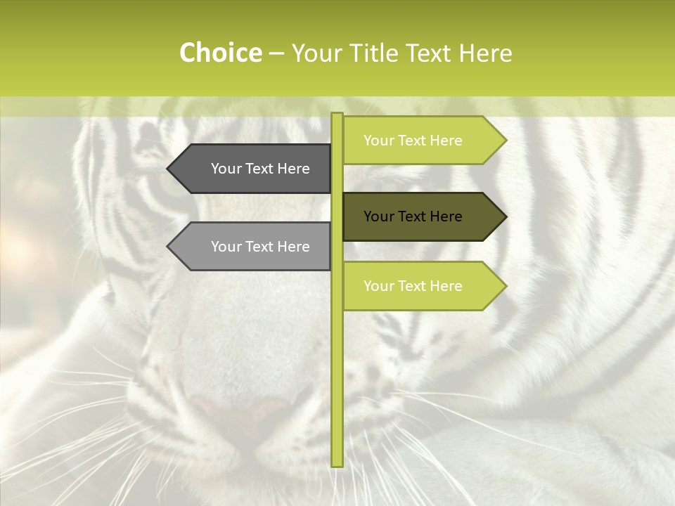 White Cat Exotic PowerPoint Template