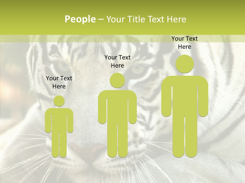 White Cat Exotic PowerPoint Template
