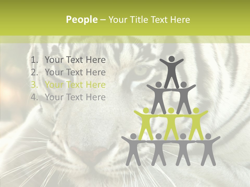 White Cat Exotic PowerPoint Template