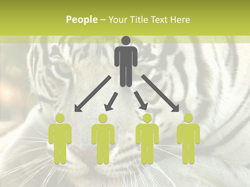 White Cat Exotic PowerPoint Template