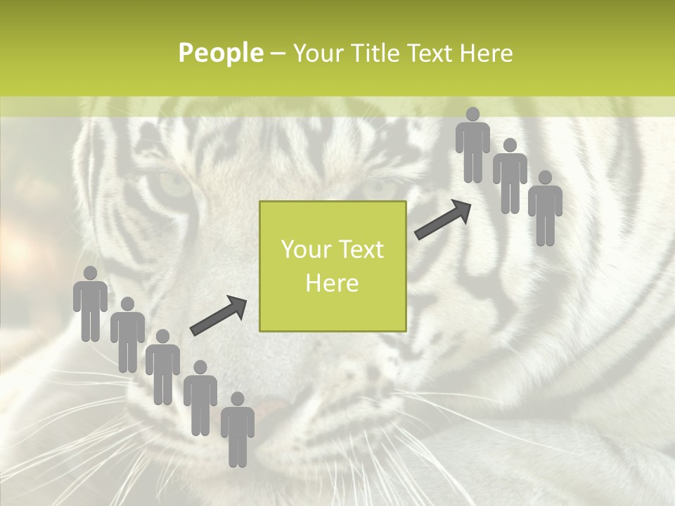 White Cat Exotic PowerPoint Template