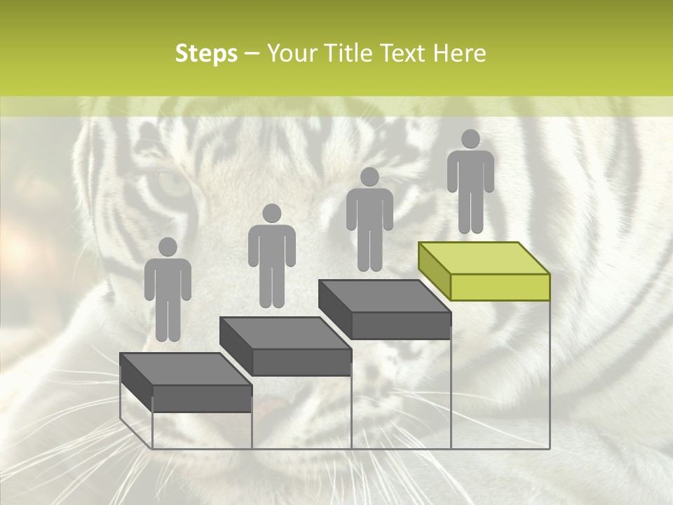 White Cat Exotic PowerPoint Template