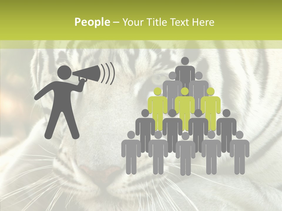 White Cat Exotic PowerPoint Template