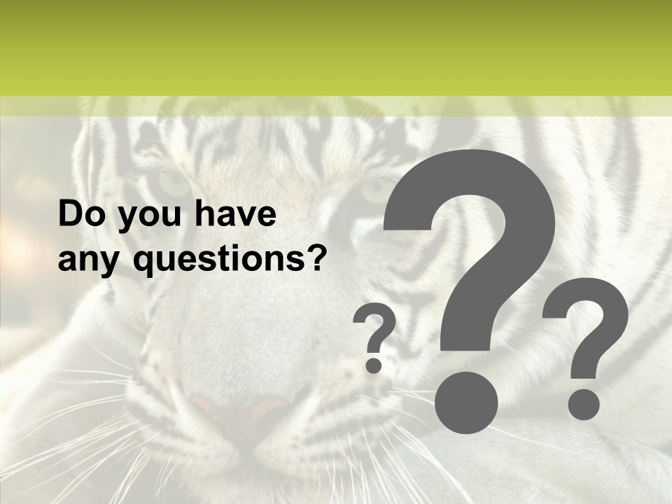 White Cat Exotic PowerPoint Template