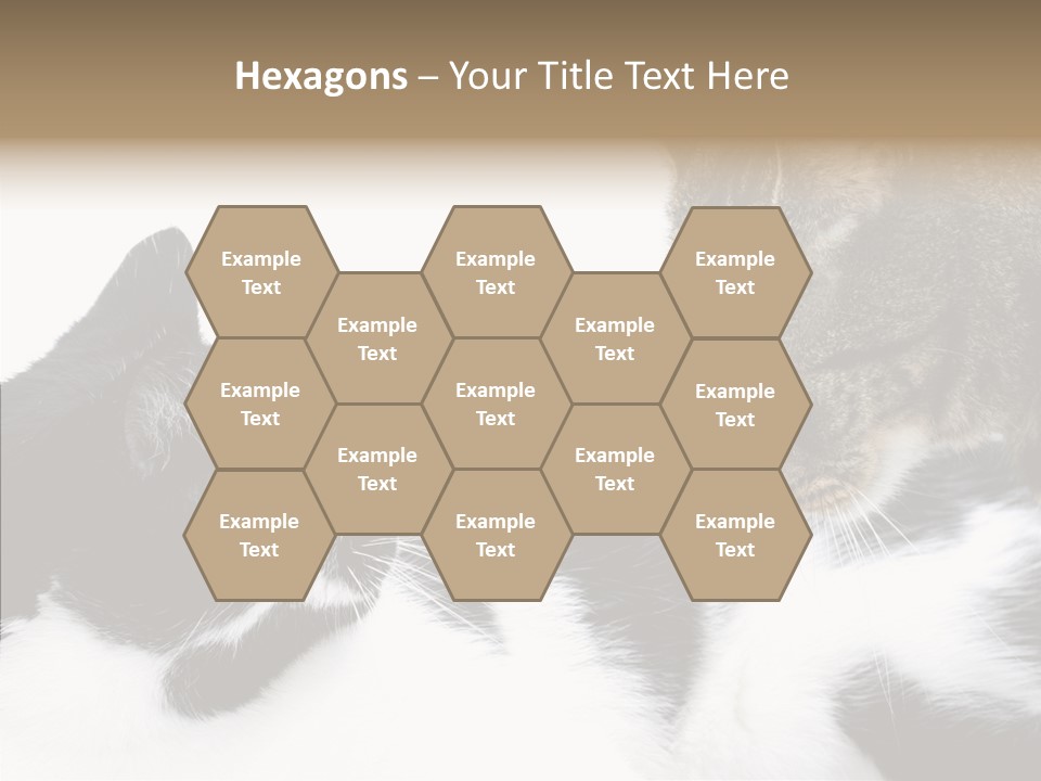 Love Claw Portrait PowerPoint Template