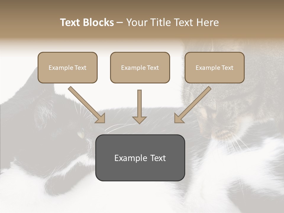 Love Claw Portrait PowerPoint Template