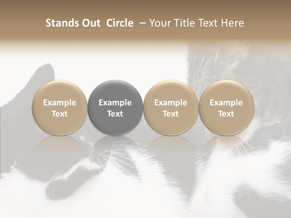 Love Claw Portrait PowerPoint Template