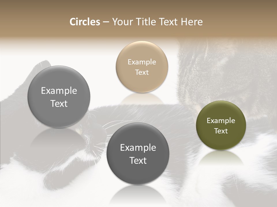 Love Claw Portrait PowerPoint Template