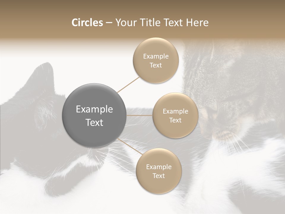 Love Claw Portrait PowerPoint Template