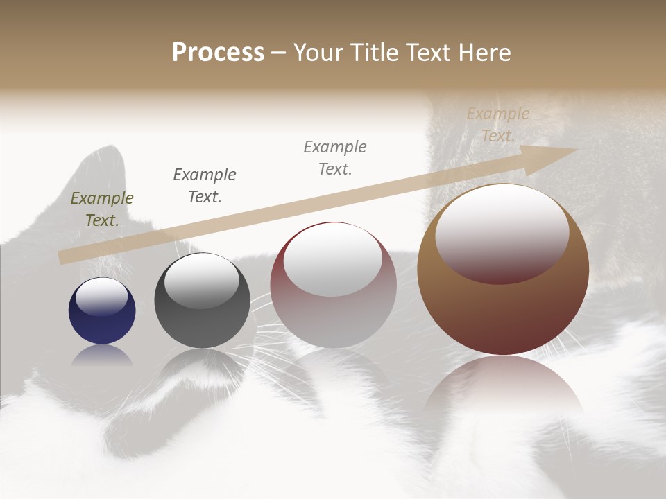 Love Claw Portrait PowerPoint Template