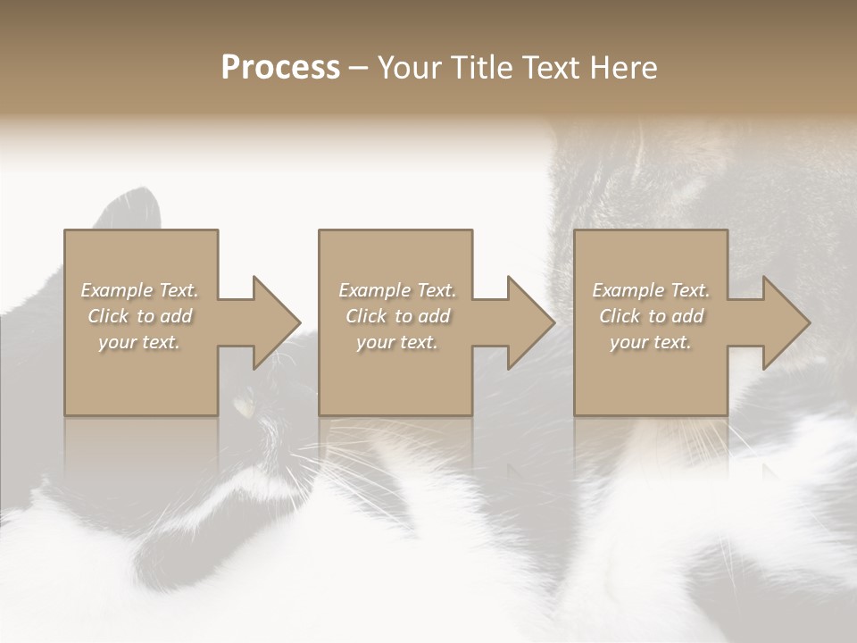 Love Claw Portrait PowerPoint Template