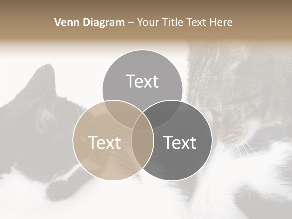 Love Claw Portrait PowerPoint Template