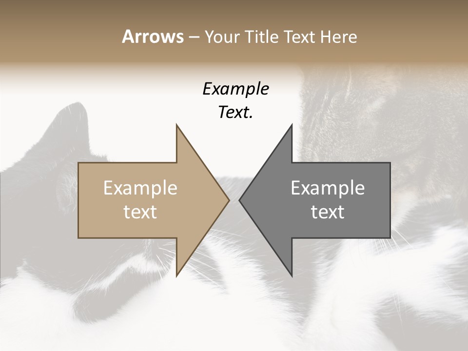 Love Claw Portrait PowerPoint Template