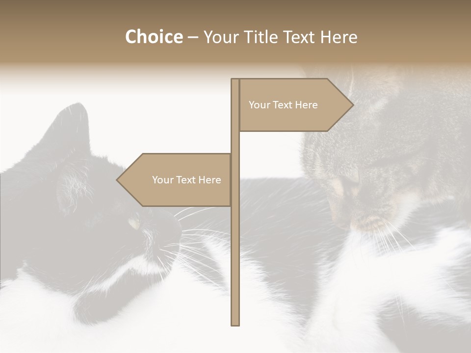 Love Claw Portrait PowerPoint Template