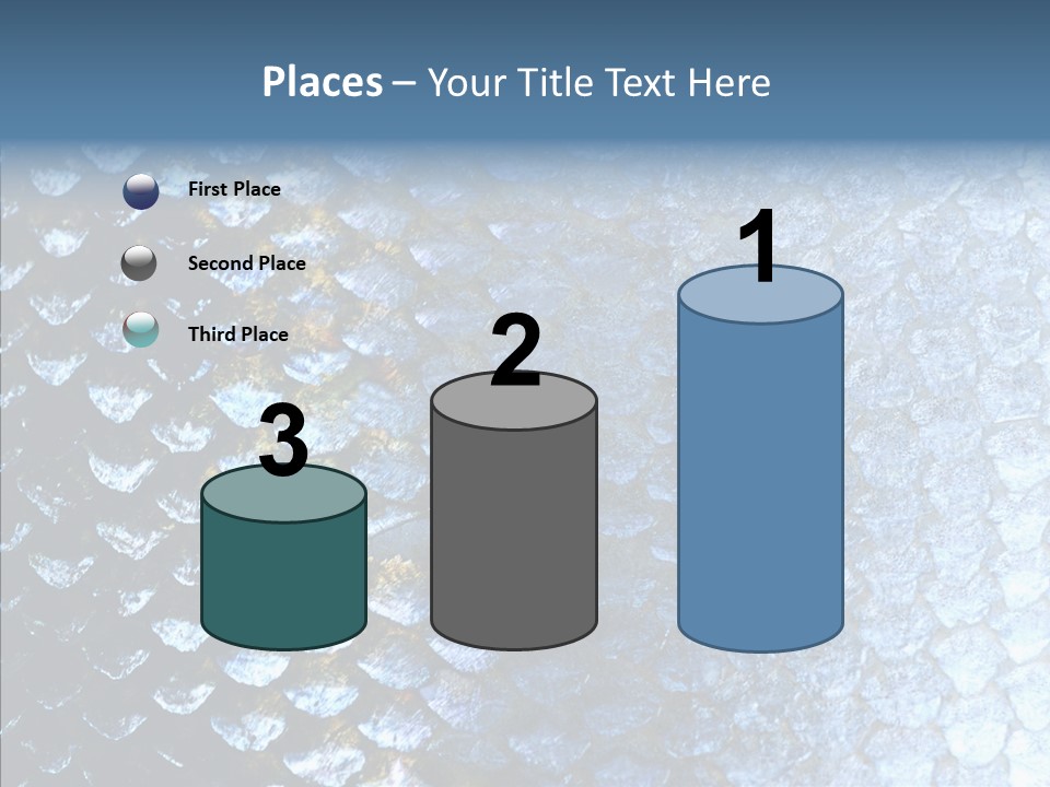 Skin Fish Silver PowerPoint Template