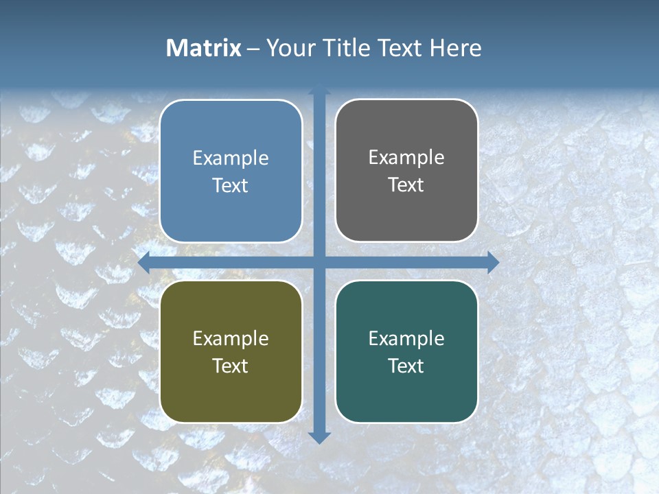 Skin Fish Silver PowerPoint Template