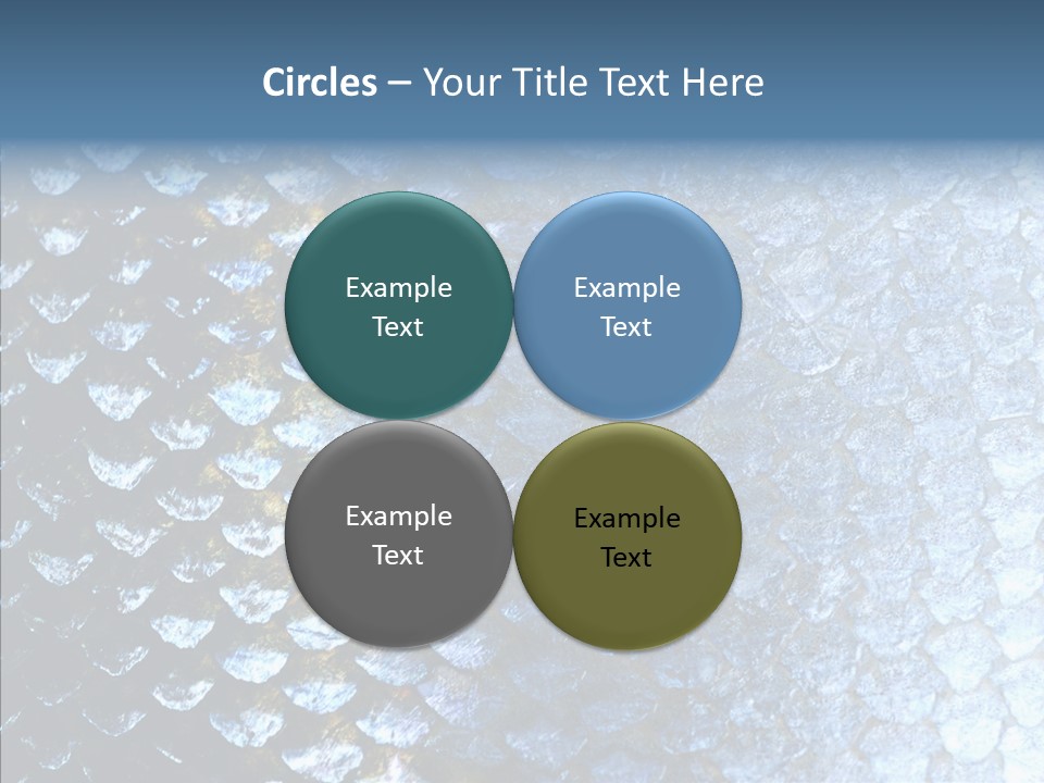 Skin Fish Silver PowerPoint Template