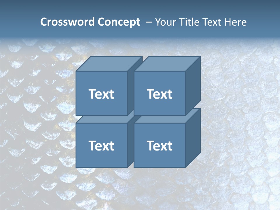 Skin Fish Silver PowerPoint Template