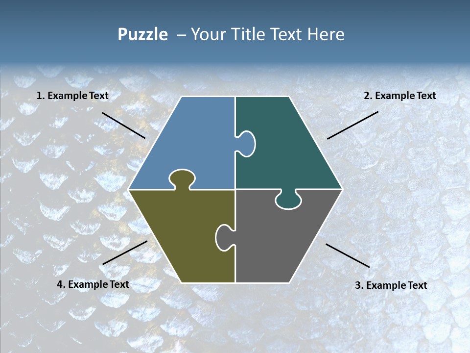 Skin Fish Silver PowerPoint Template