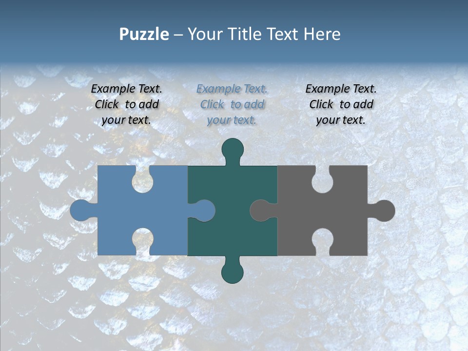 Skin Fish Silver PowerPoint Template