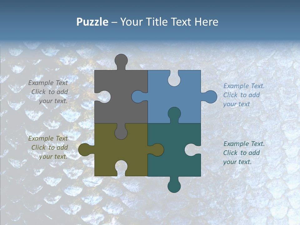 Skin Fish Silver PowerPoint Template