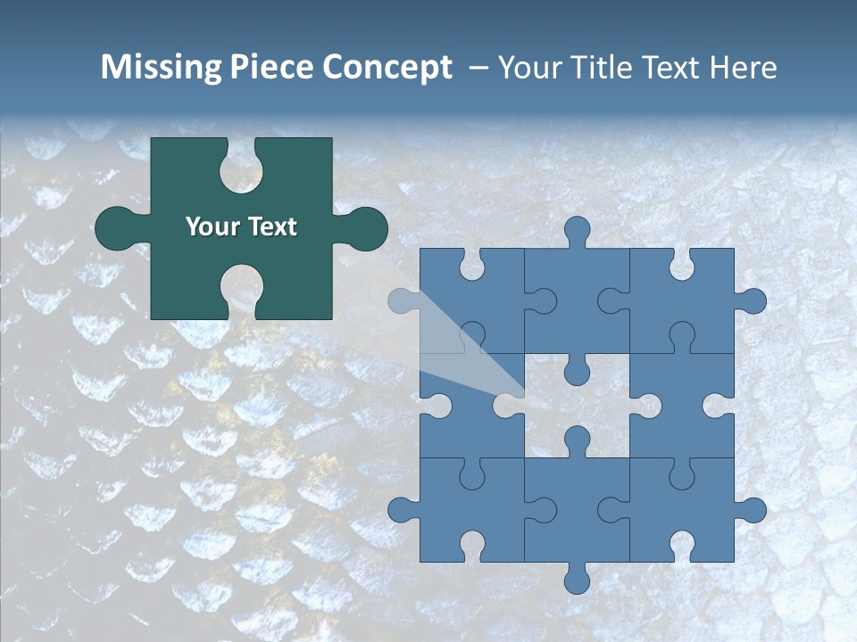 Skin Fish Silver PowerPoint Template