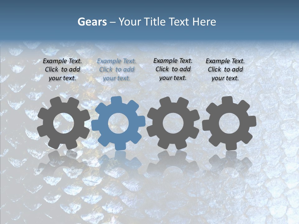 Skin Fish Silver PowerPoint Template