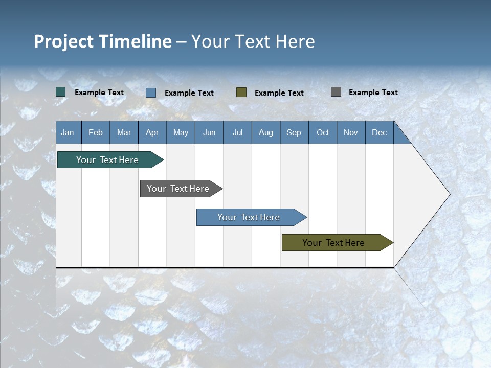 Skin Fish Silver PowerPoint Template