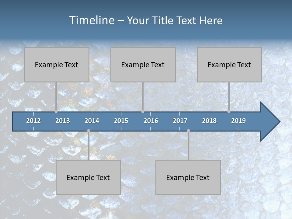 Skin Fish Silver PowerPoint Template