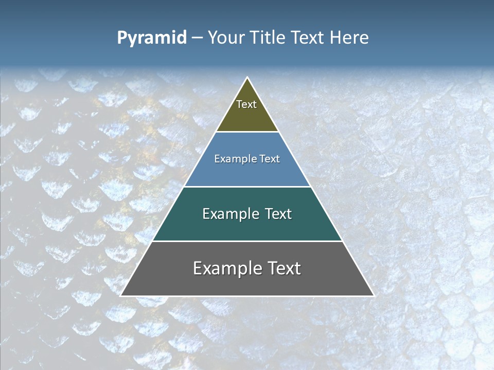 Skin Fish Silver PowerPoint Template