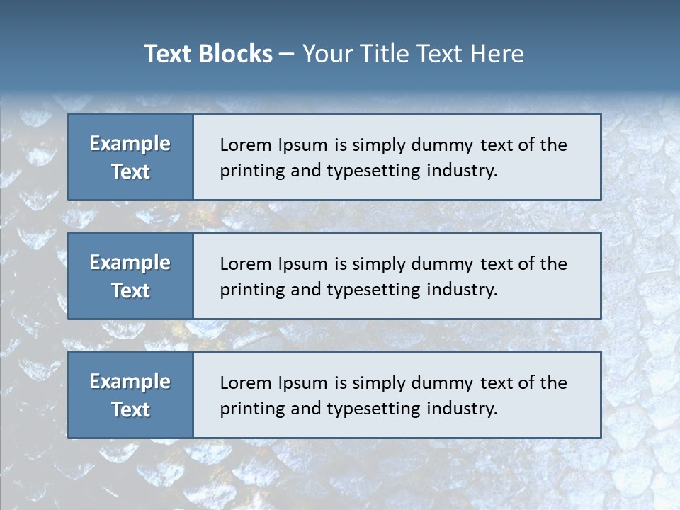 Skin Fish Silver PowerPoint Template