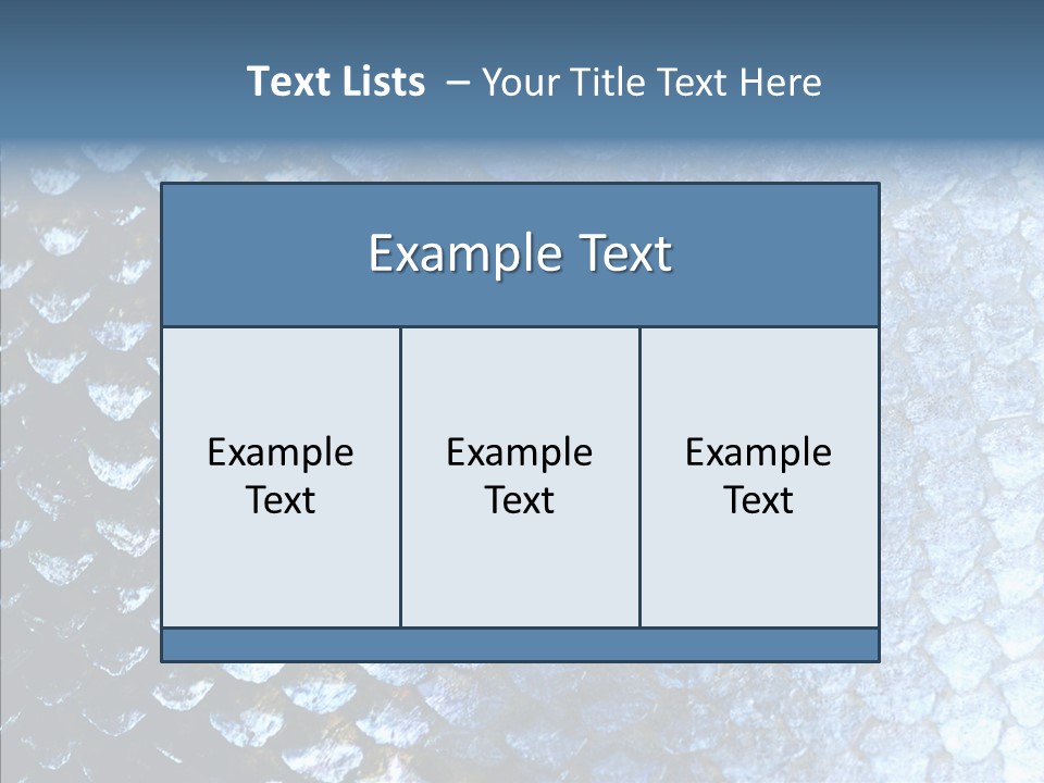 Skin Fish Silver PowerPoint Template