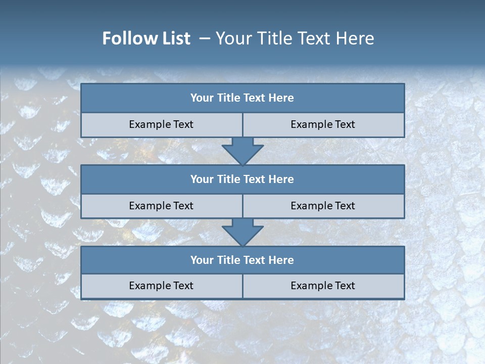 Skin Fish Silver PowerPoint Template