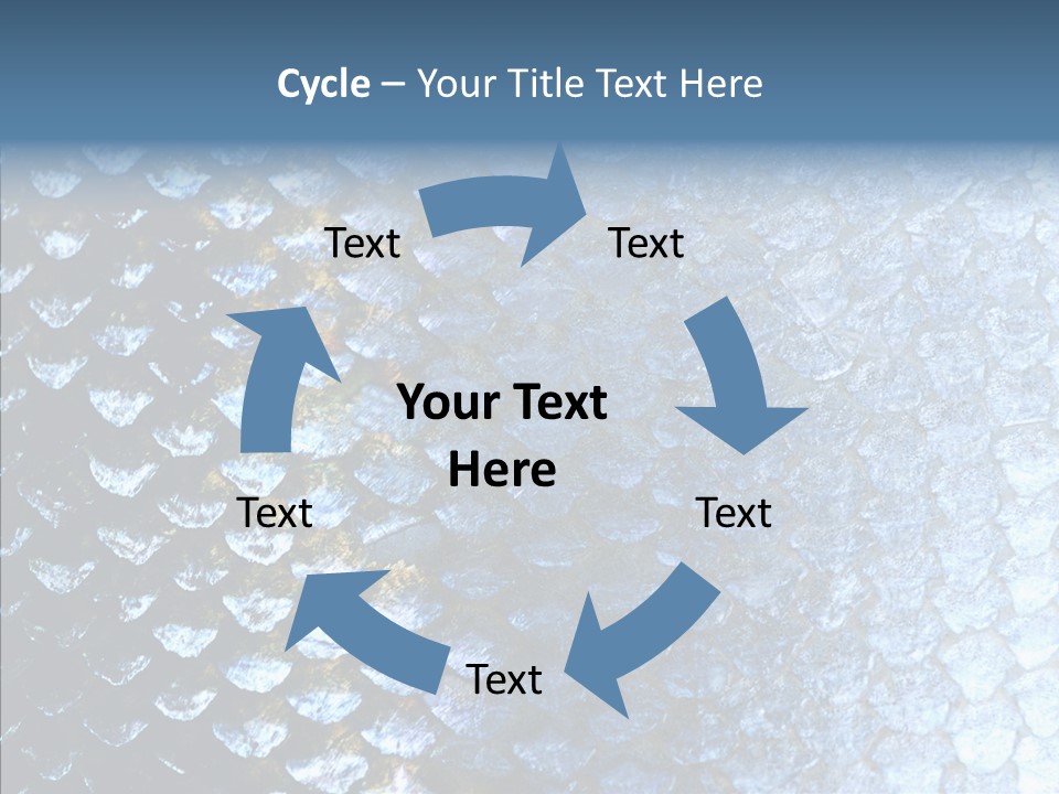 Skin Fish Silver PowerPoint Template